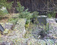 Bild: Myteri&ouml;ser Ort im Harz
