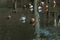 Bild: Besuch im Werniger&ouml;der Tierpark