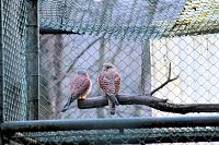 Bild: Besuch im Werniger&ouml;der Tierpark