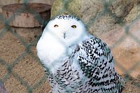 Bild: Besuch im Werniger&ouml;der Tierpark