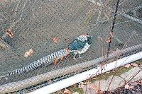 Bild: Besuch im Werniger&ouml;der Tierpark