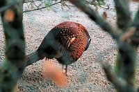 Bild: Besuch im Werniger&ouml;der Tierpark