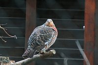 Bild: Besuch im Werniger&ouml;der Tierpark