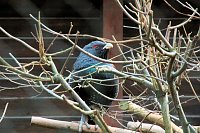 Bild: Besuch im Werniger&ouml;der Tierpark