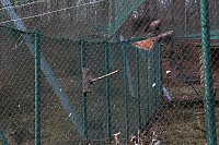 Bild: Besuch im Werniger&ouml;der Tierpark