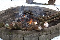 Bild: Schlittenhunderennen in Benneckenstein