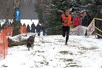 Bild: Schlittenhunderennen in Benneckenstein