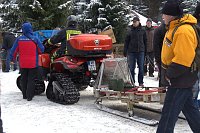 Bild: Schlittenhunderennen in Benneckenstein