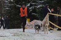 Bild: Schlittenhunderennen in Benneckenstein