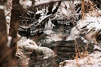 Bild: Unterwegs im Harz