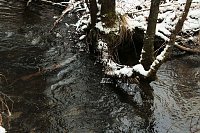 Bild: Unterwegs im Harz
