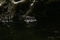 Bild: Unterwegs im Harz