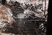 Bild: Unterwegs im Harz