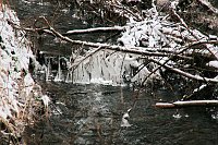 Bild: Unterwegs im Harz