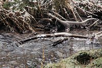 Bild: Unterwegs im Harz