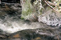 Bild: Unterwegs im Harz