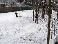 Bild: Winter im Park