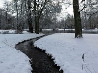 Bild: Winter im Park