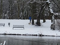 Bild: Winter im Park