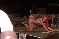 Bild: Erotik bei Wahl zum AP-Girl