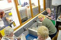 Bild: Kartoffelscheibenessen