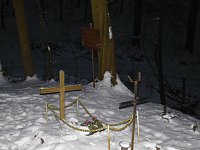 Bild: Im Harz unterwegs
