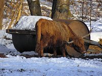 Bild: Im Harz unterwegs