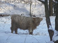 Bild: Im Harz unterwegs
