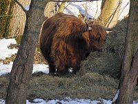 Bild: Im Harz unterwegs