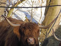 Bild: Im Harz unterwegs