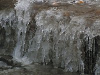 Bild: Im Harz unterwegs