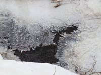 Bild: Im Harz unterwegs