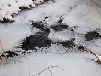 Bild: Im Harz unterwegs