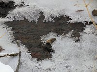 Bild: Im Harz unterwegs