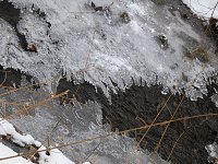 Bild: Im Harz unterwegs