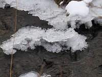Bild: Im Harz unterwegs