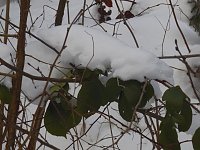 Bild: Im Harz unterwegs