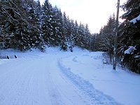 Bild: Im Harz unterwegs