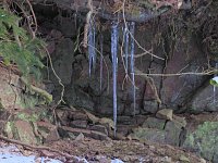 Bild: Im Harz unterwegs