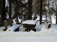 Bild: Im Harz unterwegs