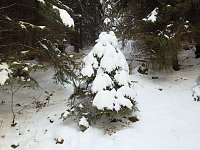 Bild: Im Harz unterwegs