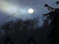 Bild: Im Harz unterwegs