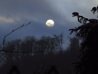 Bild: Im Harz unterwegs