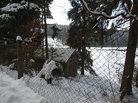 Bild: Im Harz unterwegs