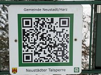 Bild: Im Harz unterwegs