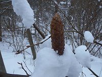 Bild: Im Harz unterwegs