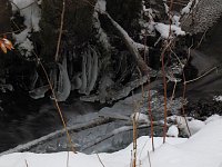 Bild: Im Harz unterwegs
