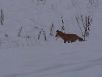 Bild: Im Harz unterwegs