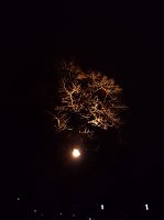 Bild: Nordhausen bei Nacht