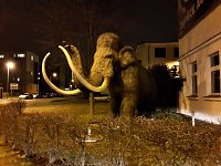 Bild: Nordhausen bei Nacht